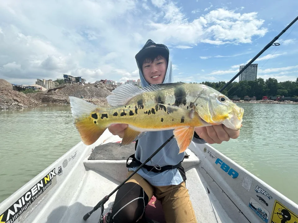 Skipper Prima - Image 2