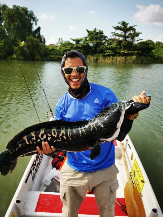 Skipper Prima - Main