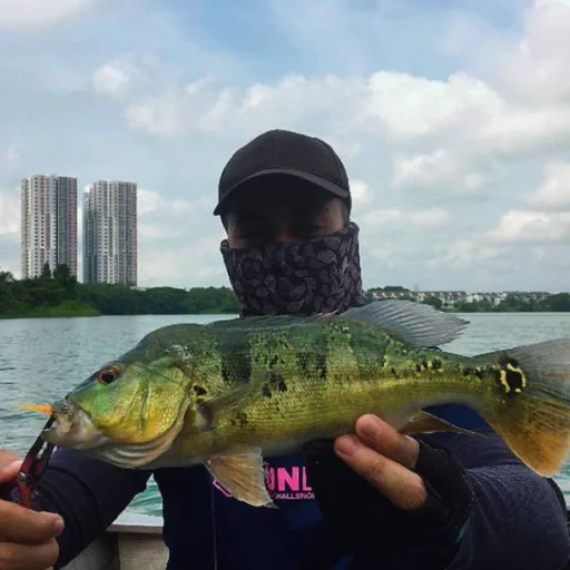 MAHYUDIN ABD AZIZ avatar