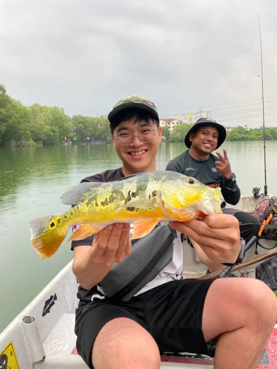 Abey Pie Prima - Main