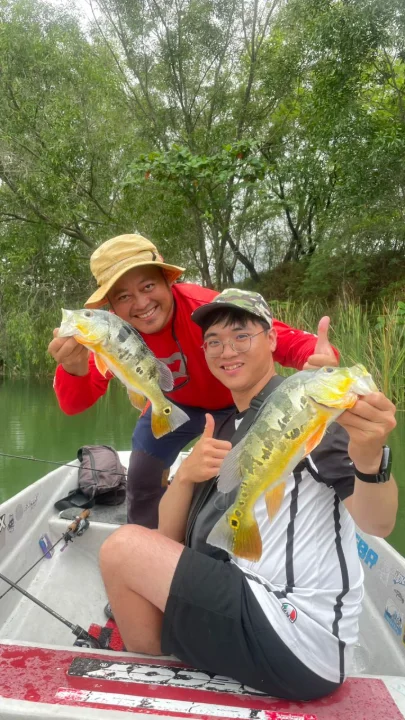 Abey Pie Prima - Image 2