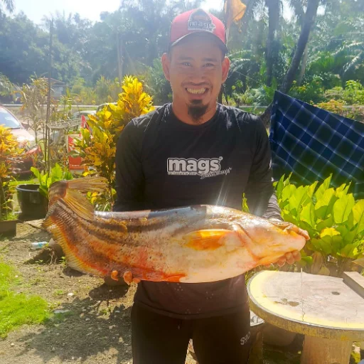 Rozaidi Sampol avatar