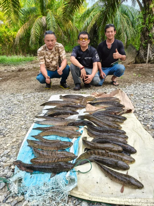 Longriver Fishing Guide - Main