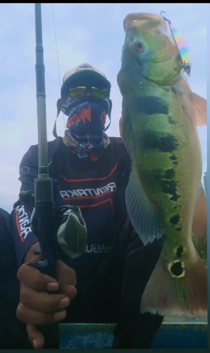 Prima Urban Boatmate - Image 2