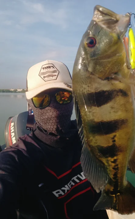 Prima Urban Boatmate - Image 3