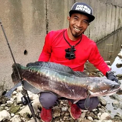 Arie Caster channel avatar