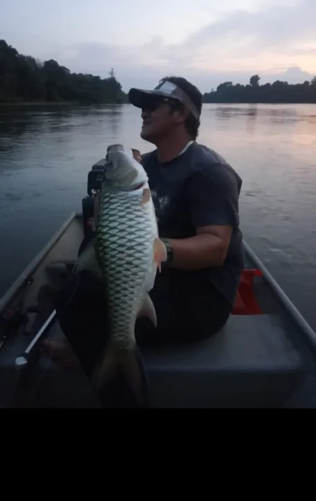 Angah Charter - Image 2