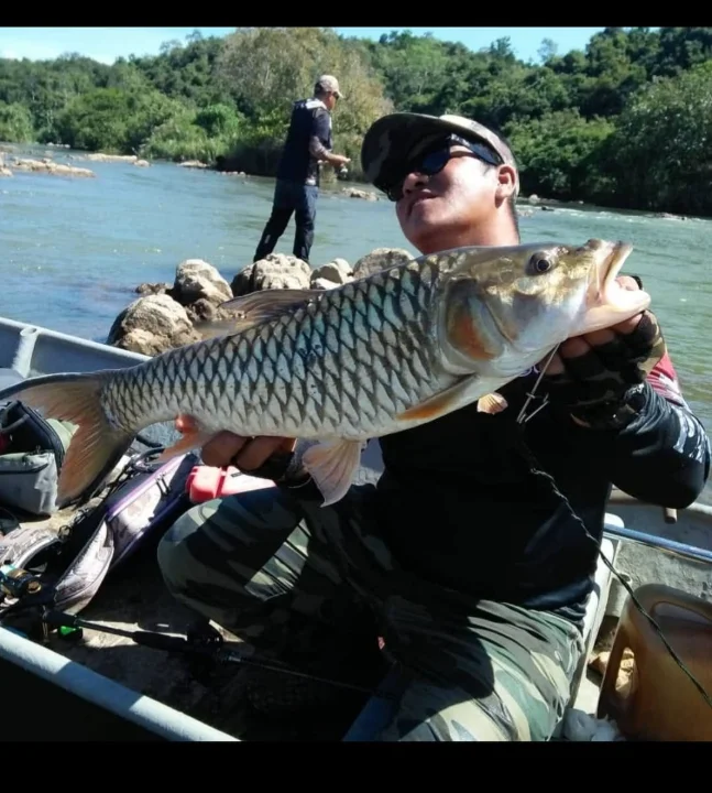 Angah Charter - Image 3