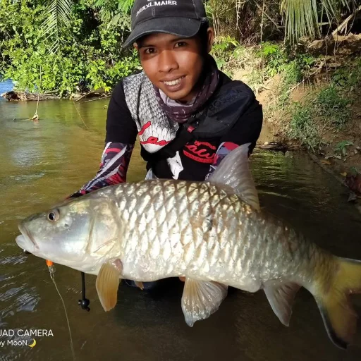 Mokhtar Riedhauddin avatar