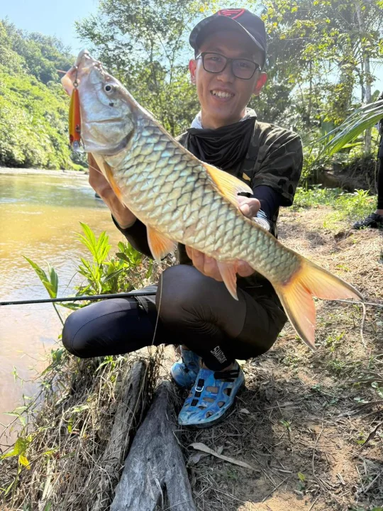 Stream 4 Hampala - Image 2