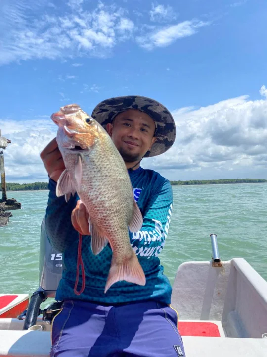 Heavy Cover Caster - Image 3