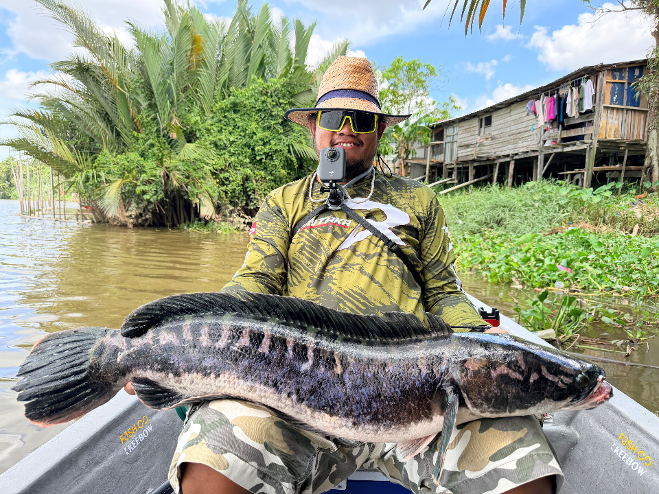 Sarawak River Monster - Main