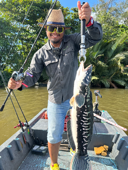 Sarawak River Monster - Image 2