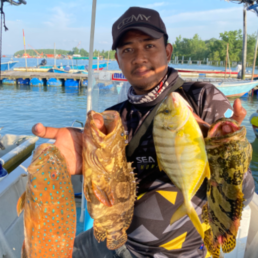 Qhairul Fahmi avatar