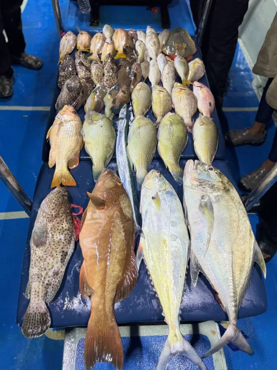 Fishon Alwaysstrikee  - Main