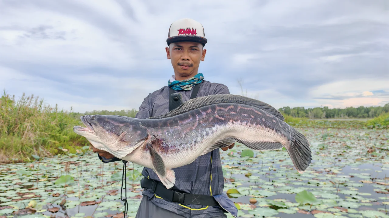 Aqilfishing  - Image 2