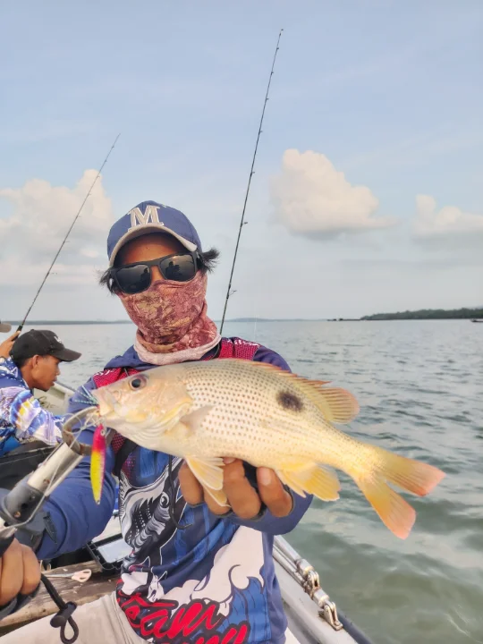 Red Boat Charter - Main