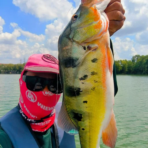 Mohd Fahmi “Hardworking Angler” avatar