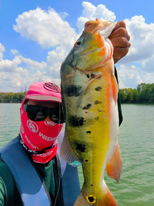 Hardworking Angler - Image 2