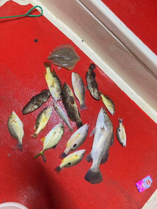 Wakdanel Boat Charter - Image 3