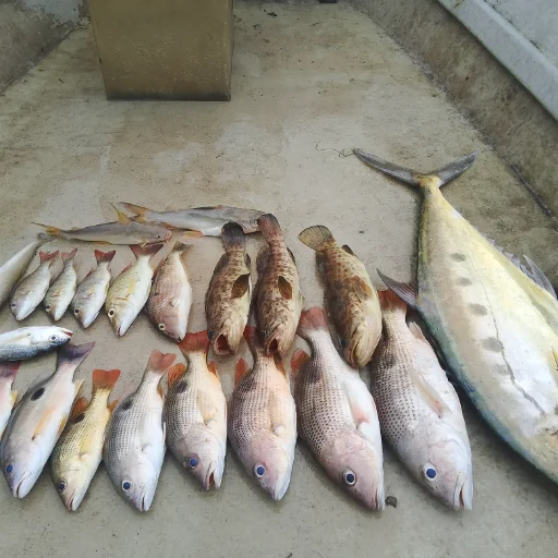 Mohamad Zikri  avatar