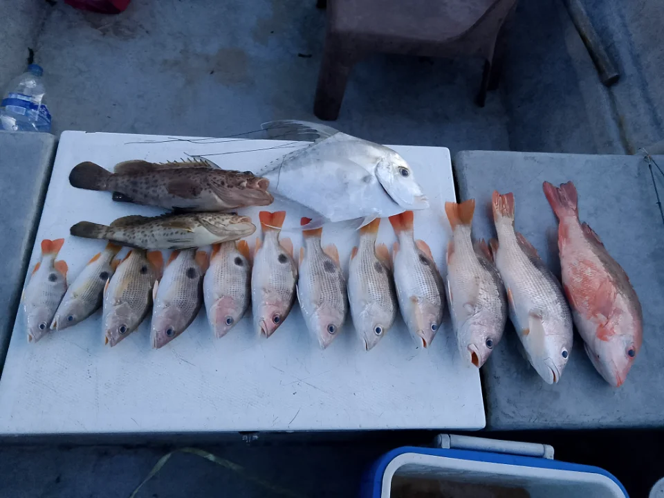 Tekong Zikri Boat Charter - Main