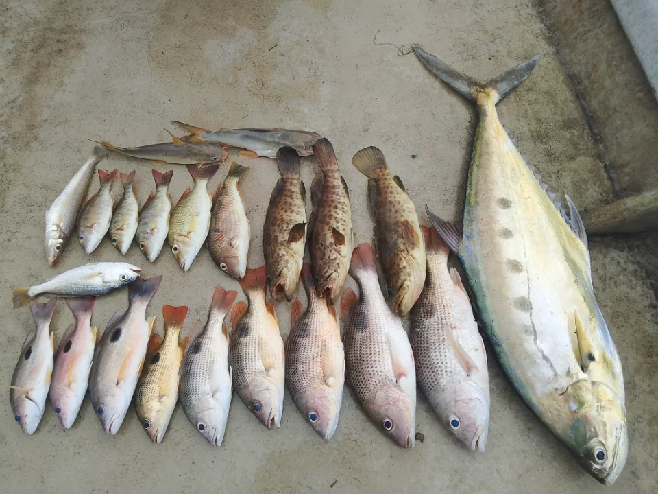 Tekong Zikri Boat Charter - Image 2