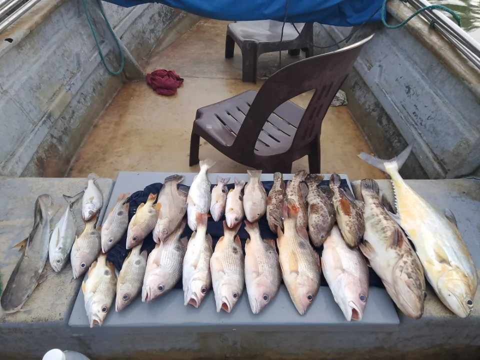 Tekong Zikri Boat Charter - Image 3