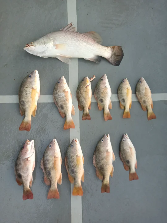 Aten Boat Charter - Main