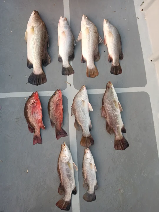 Aten Boat Charter - Image 2